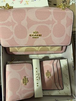 COACH PINK SIGNATURE BAG SET