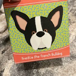 Frankie, the French bulldog