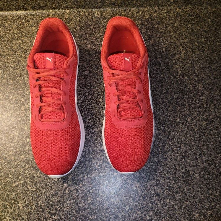 *Mesh Pumas*
