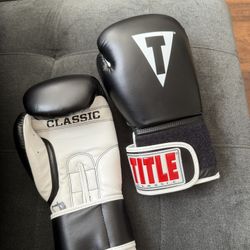 TITLE Boxing Gloves