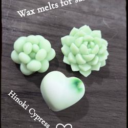 Wax Melts and Candles
