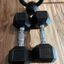 Free Weights 20lbs Dumbbells 
