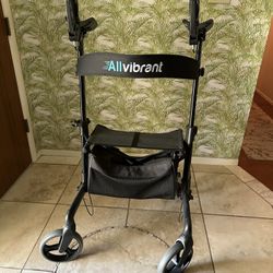 All Vibrant Upright Walker