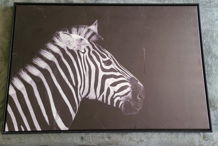 Zebra Wall Decor ($40)