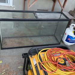 60 Gallon Fish Tank 
