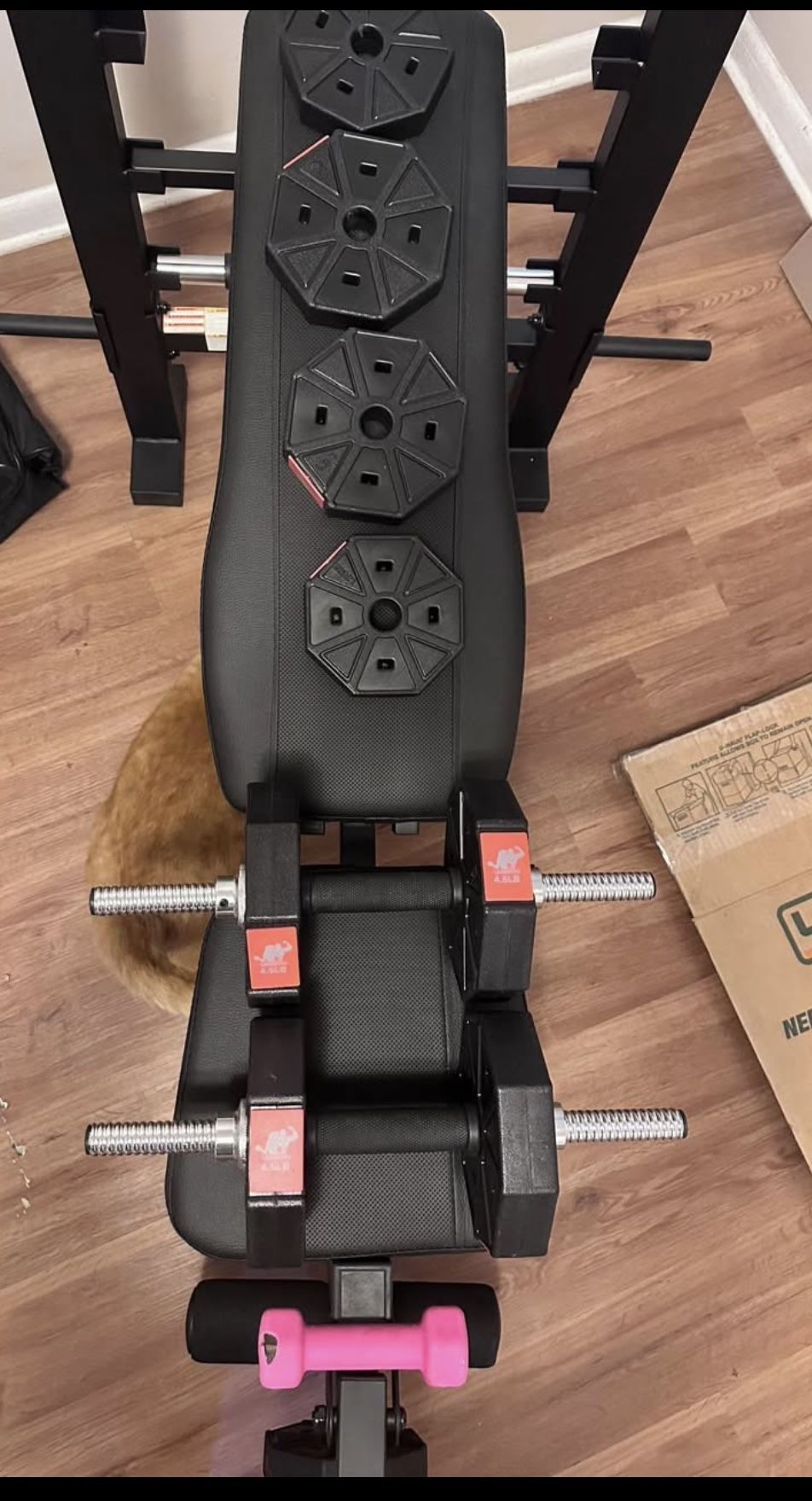 Weight Bench W/Extras