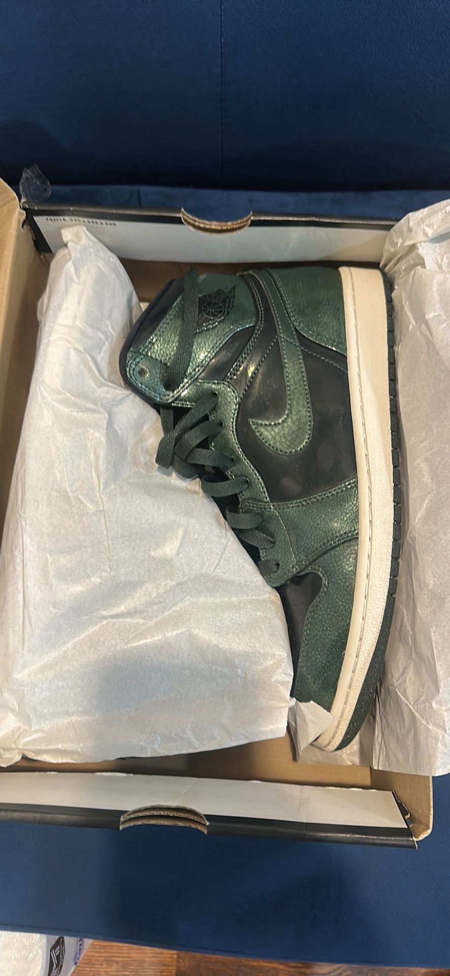 Air Jordan 1 “Anti-Gravity Machines” Size 11