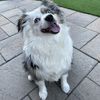 Tim