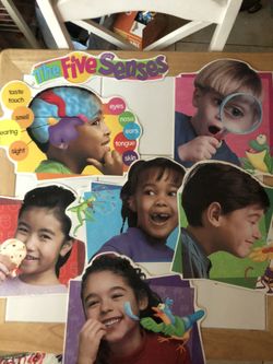 5 Senses Poster