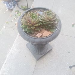 Planters