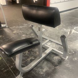Promaxima Commercial Preacher Curl Bench