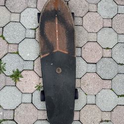 GLOBE Skateboards Cruiser Complete