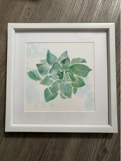 Rare Watercolor Succulent Botanical Framed Picture