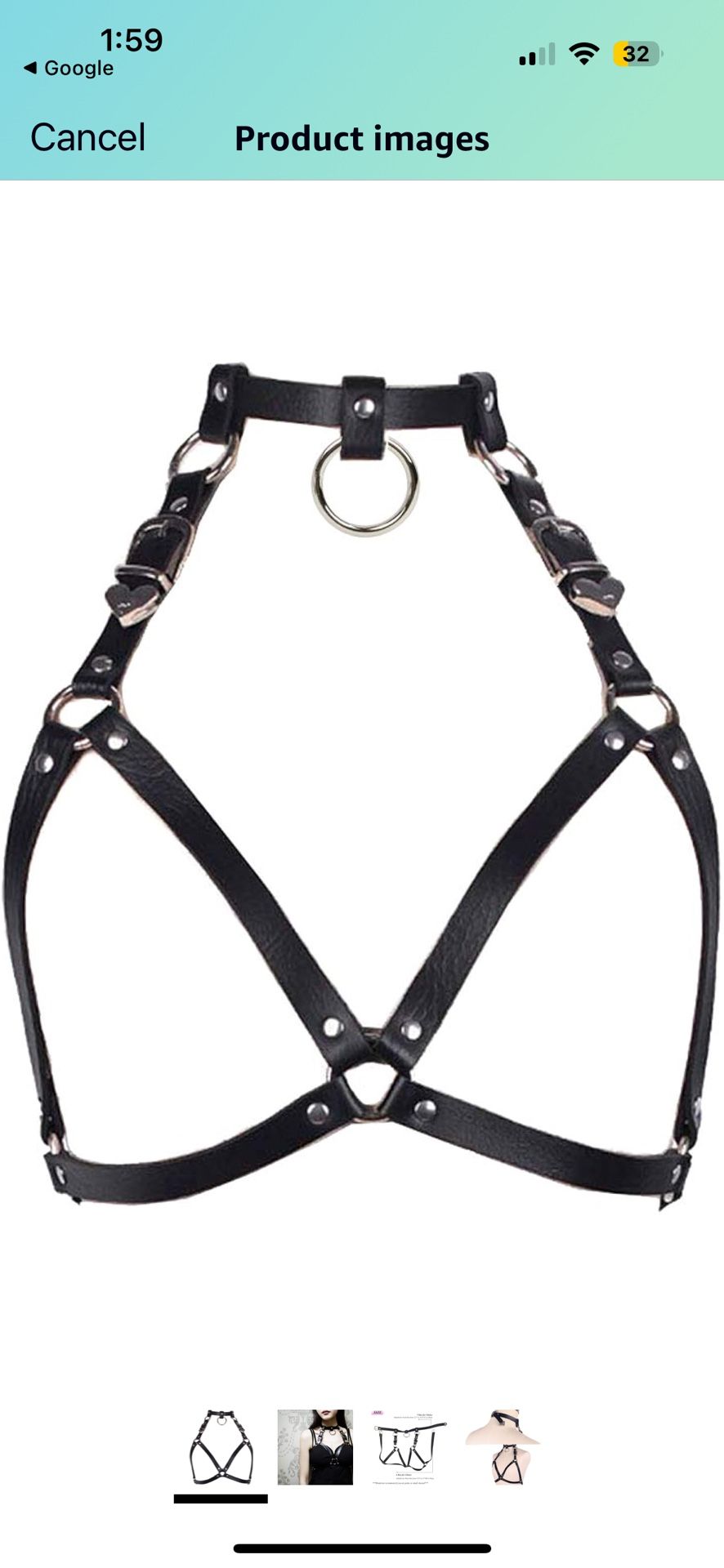 Harness