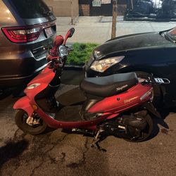 Magnum Scooter