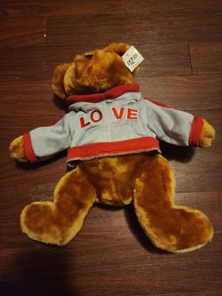 Love Teddy Bear Plush with Hoodie