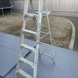 6 Ft Ladder 