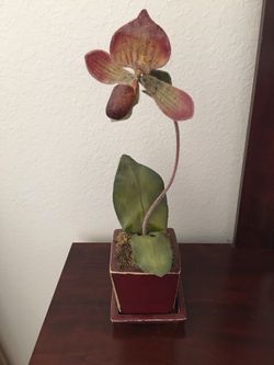 Artificial orchid plant with ceramic vase