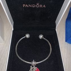 Disneyland Pandora Bracelet And Charms 