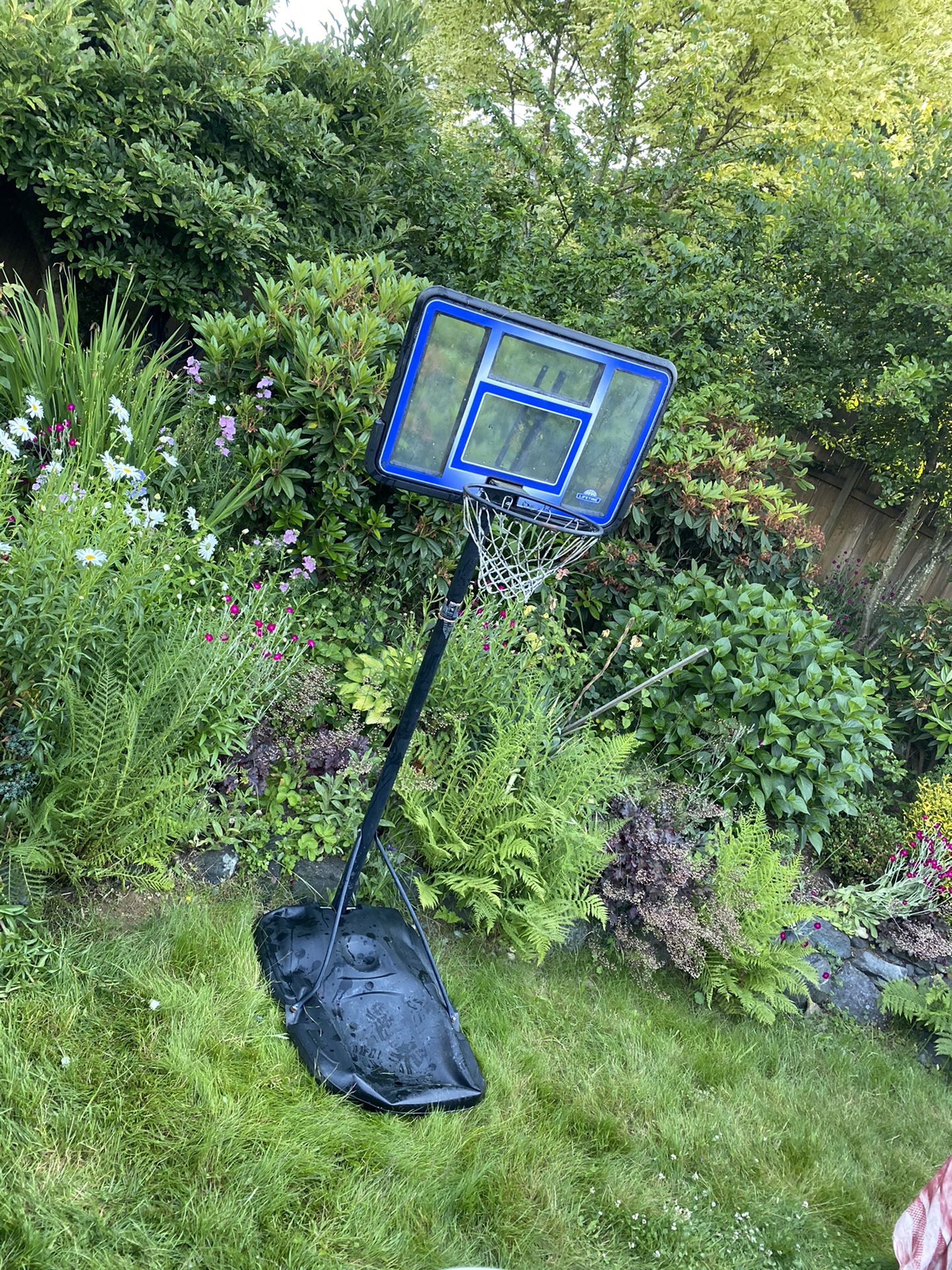 Lifetime basketball hoop. 10 ft to the ring