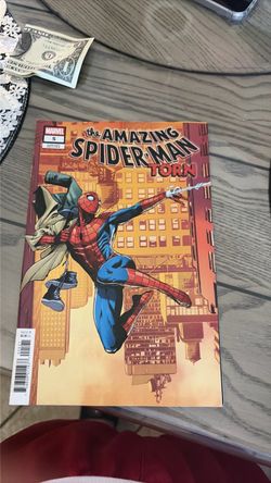 The amazing spider man torn