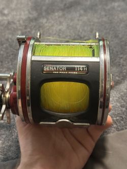Penn 114H Special Senator 6/0 Reel