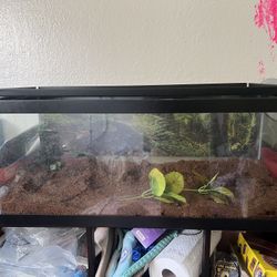 20 Gallon Tank With Lid