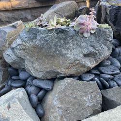 Natural Hand Carved Basalt Stone Succulent Planter