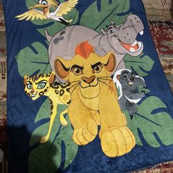 Kids Blankets ( Used ) Smaller Blankets 
