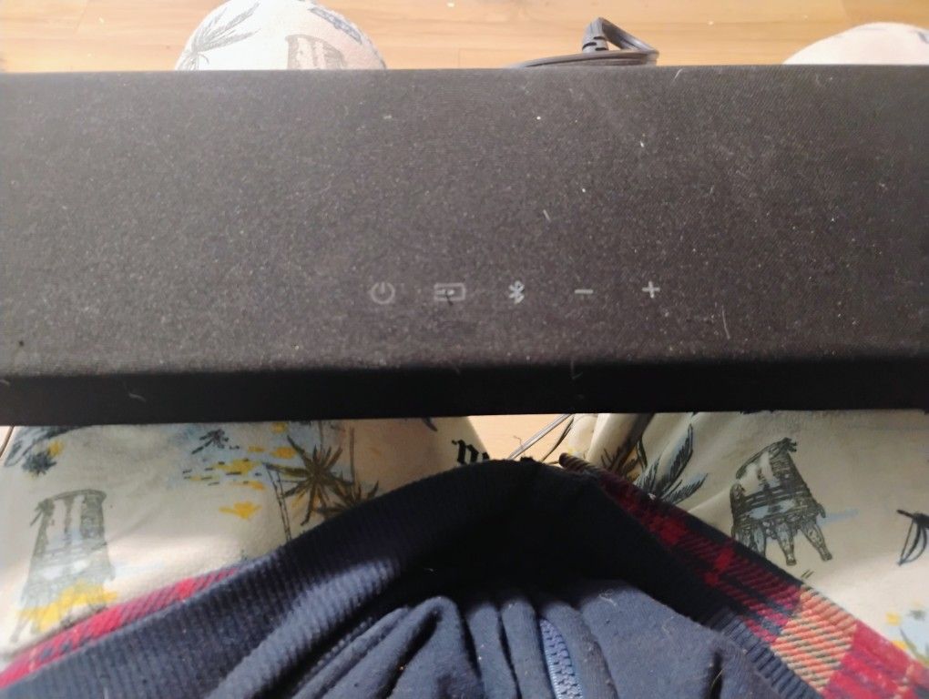 Vizio 2.0 Speaker
