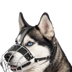 Metal Husky Muzzle for Large Sized Dog – Basket Muzzle for Dogs with Adjustable Leather Straps