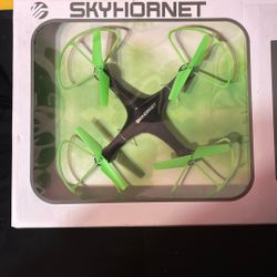 Sky hornet drone
