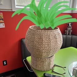 $39 Nifty Plant Stand Giant Woven Orb & Base 2pc UNIQUE 