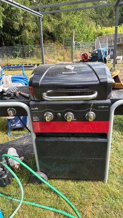 Bbq