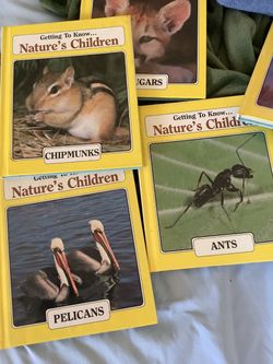 Children’s nature books