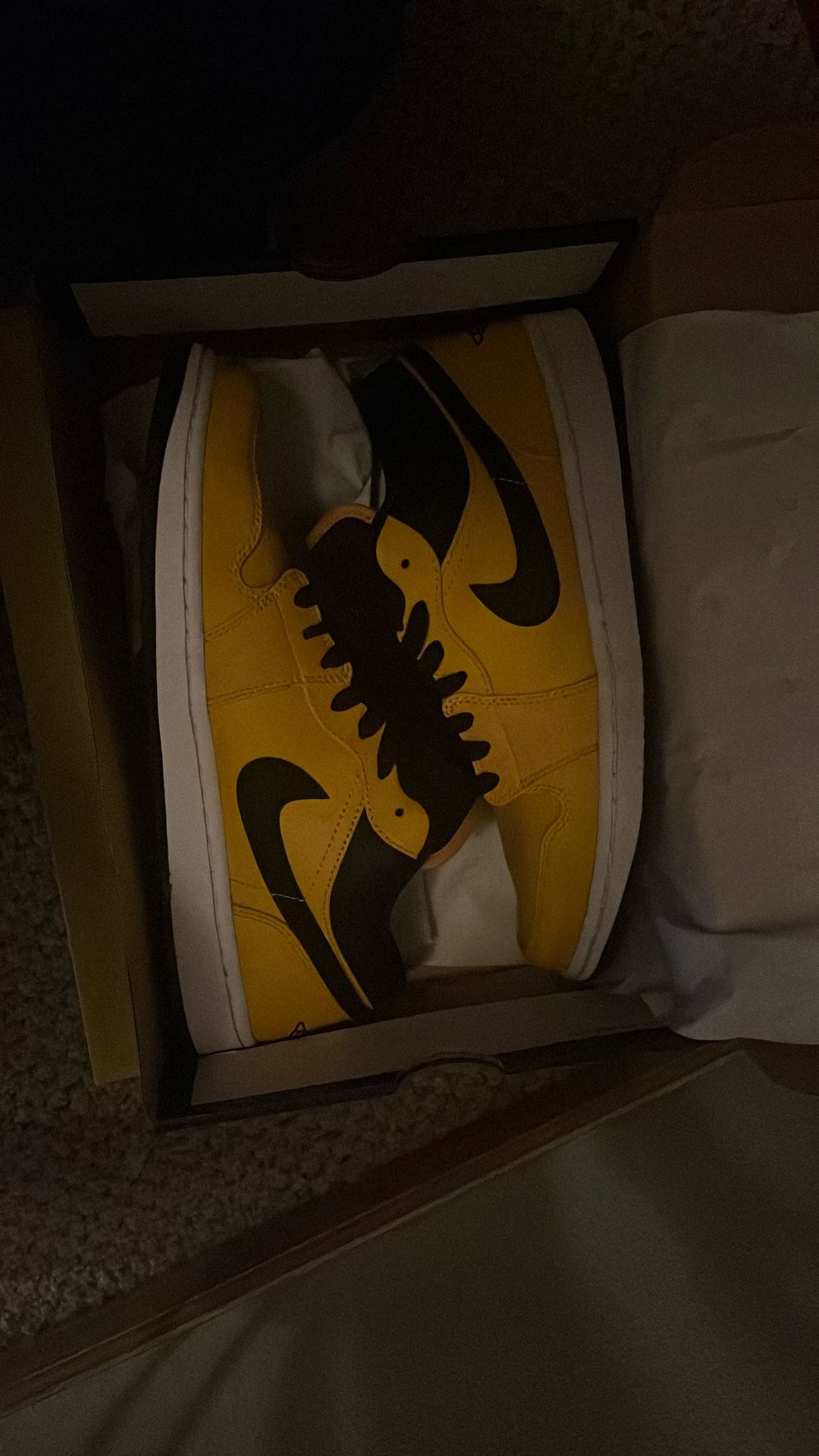 Niki’s Jordan One Low Cuts