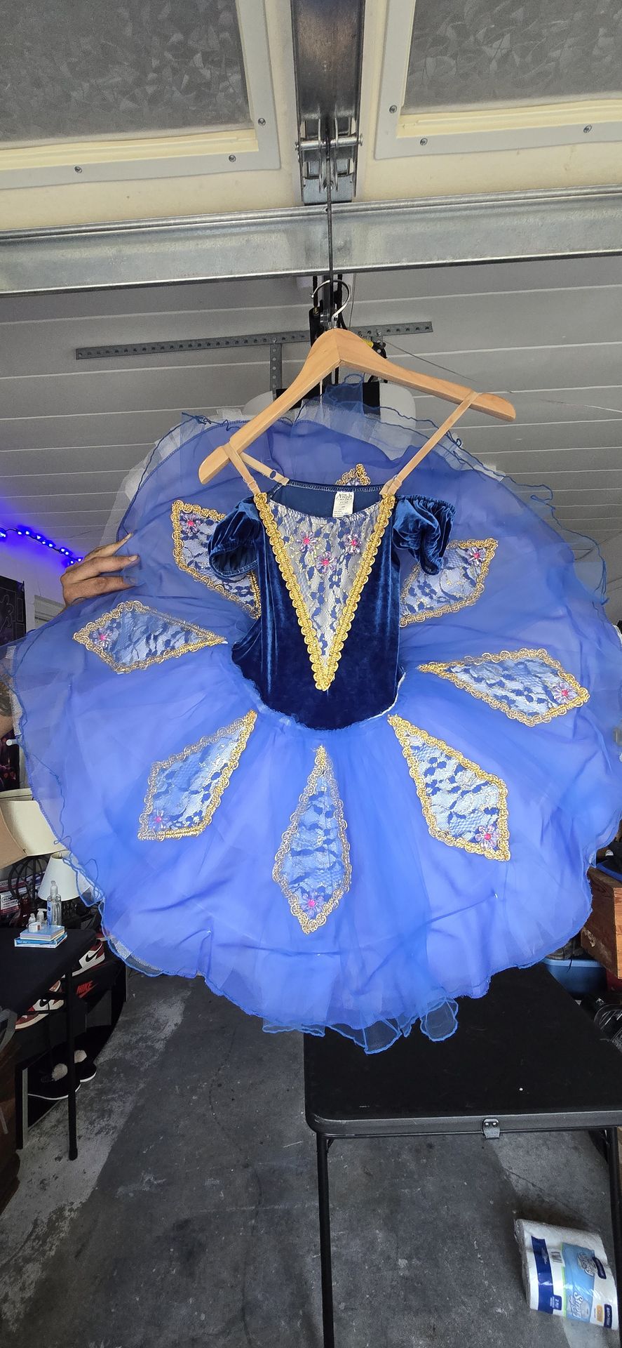 "A wish come true" Recital tutu