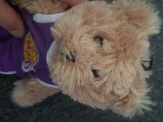 Lakers teddy