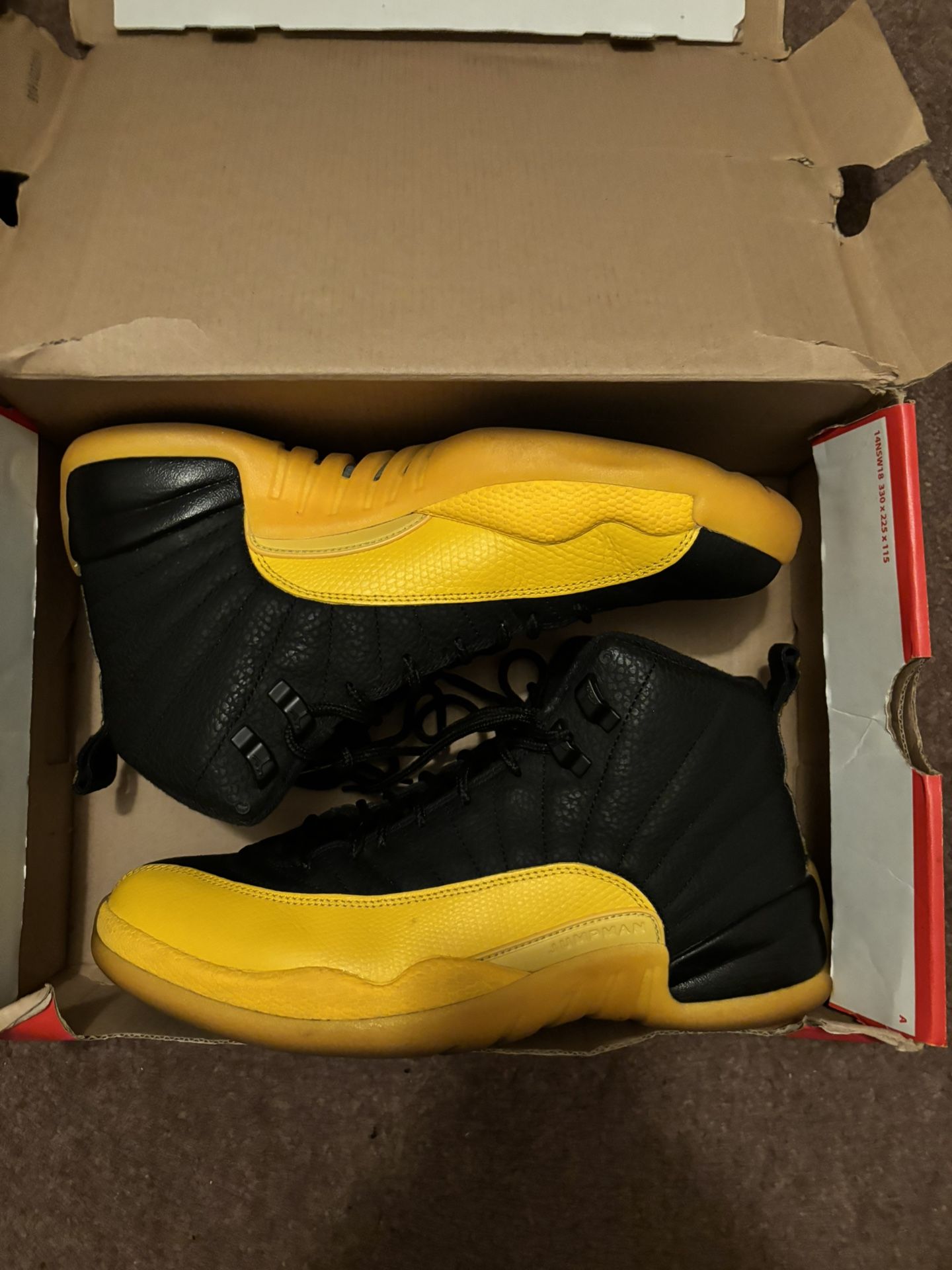 Jordan 12