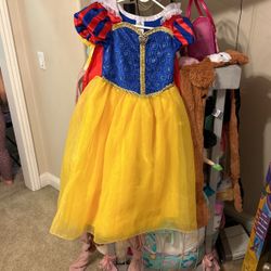 Disney Princess Costume Dresses