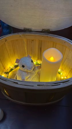 Cheezer Beanie Baby TY collectable White Mouse Stuffed Animal