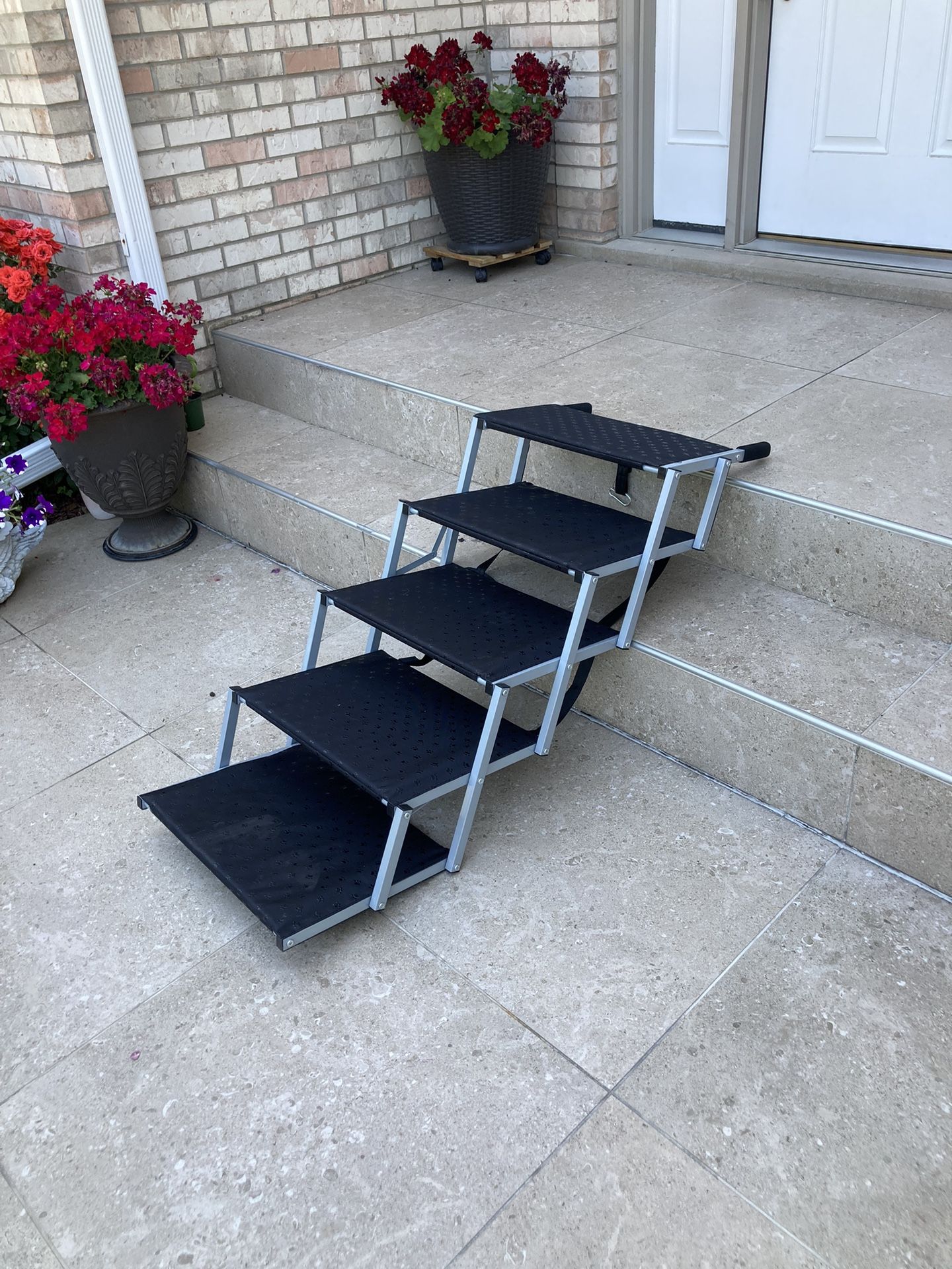 new pet steps