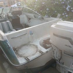 Searay Boat And Trailer 