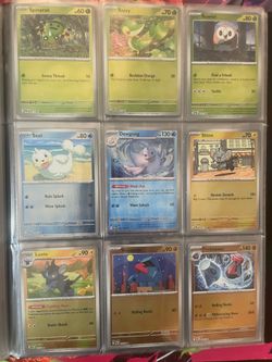Perfect Order Complete Set Pokemon Cards