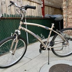 Landrider Auto Shift Bike