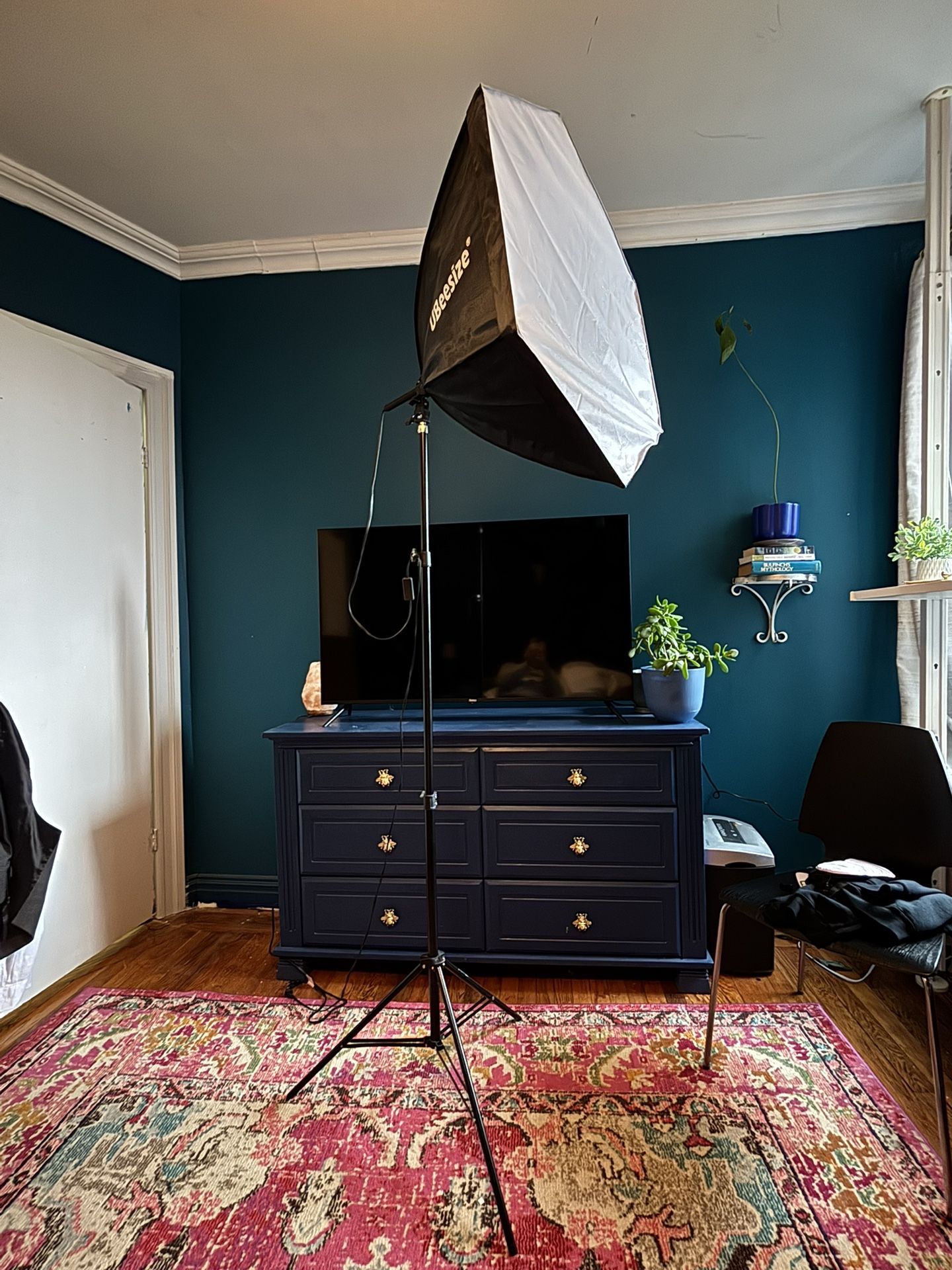 Photography Light And Soft Box