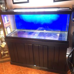 75 Gallon Aquarium 