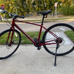 Trek Fx1 