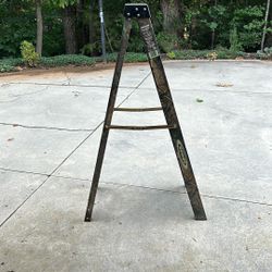 Werner 5 Foot Camo Ladder