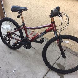 Boy’s Mountain Bike Raleigh Scout